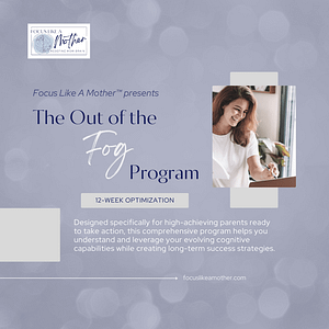 Out of the Fog individual coaching program